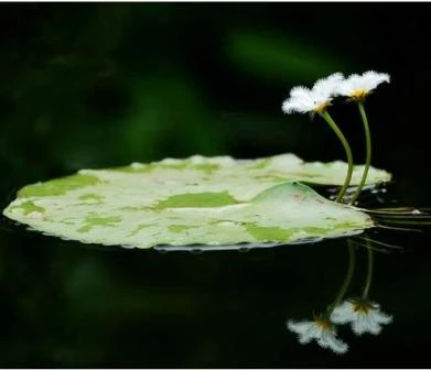 Mối quan hệ tình bạn theo tinh thần kinh Hiền Nhân